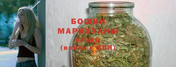 твердый Лиски