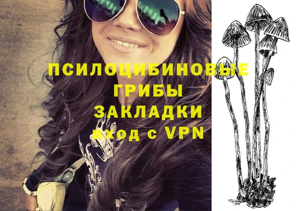 твердый Лиски