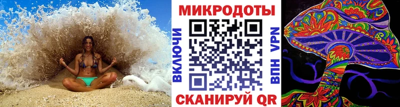 Купить закладки  Неман  Псилоцибиновые грибы Psilocybe 